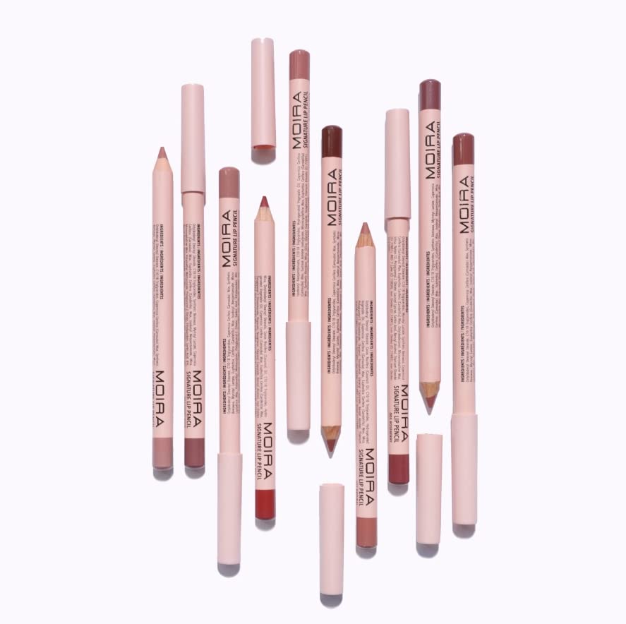 Be Bella Blend It Up Mauve Collection, Beauty Creations Tease Me Lipsticks &amp; Moira Signature Lip Pencil