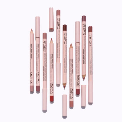 Be Bella Blend It Up Mauve Collection, Beauty Creations Tease Me Lipsticks &amp; Moira Signature Lip Pencil